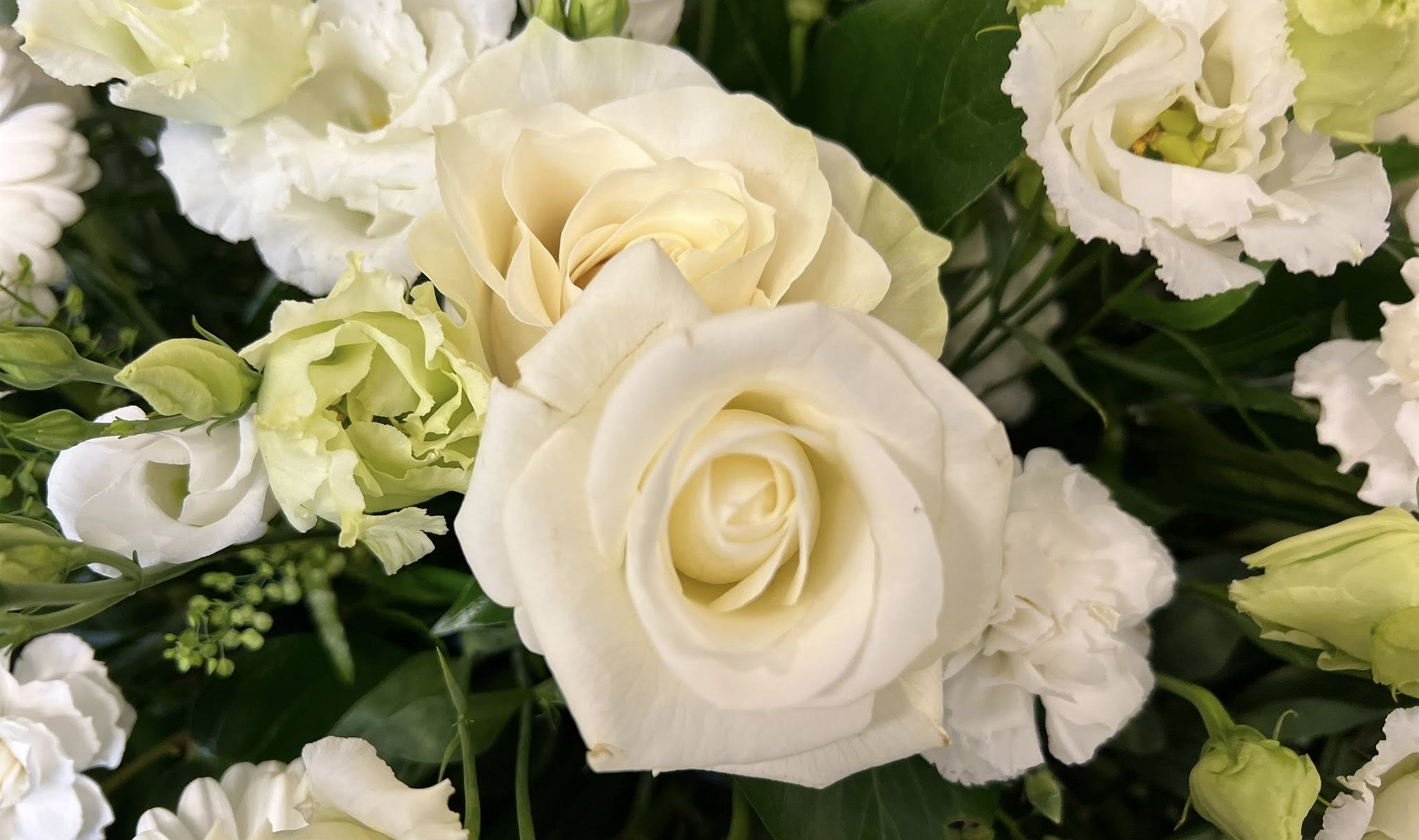 /Websites/1375/Images/upload/image/Home_New_4.jpg?ver=8513