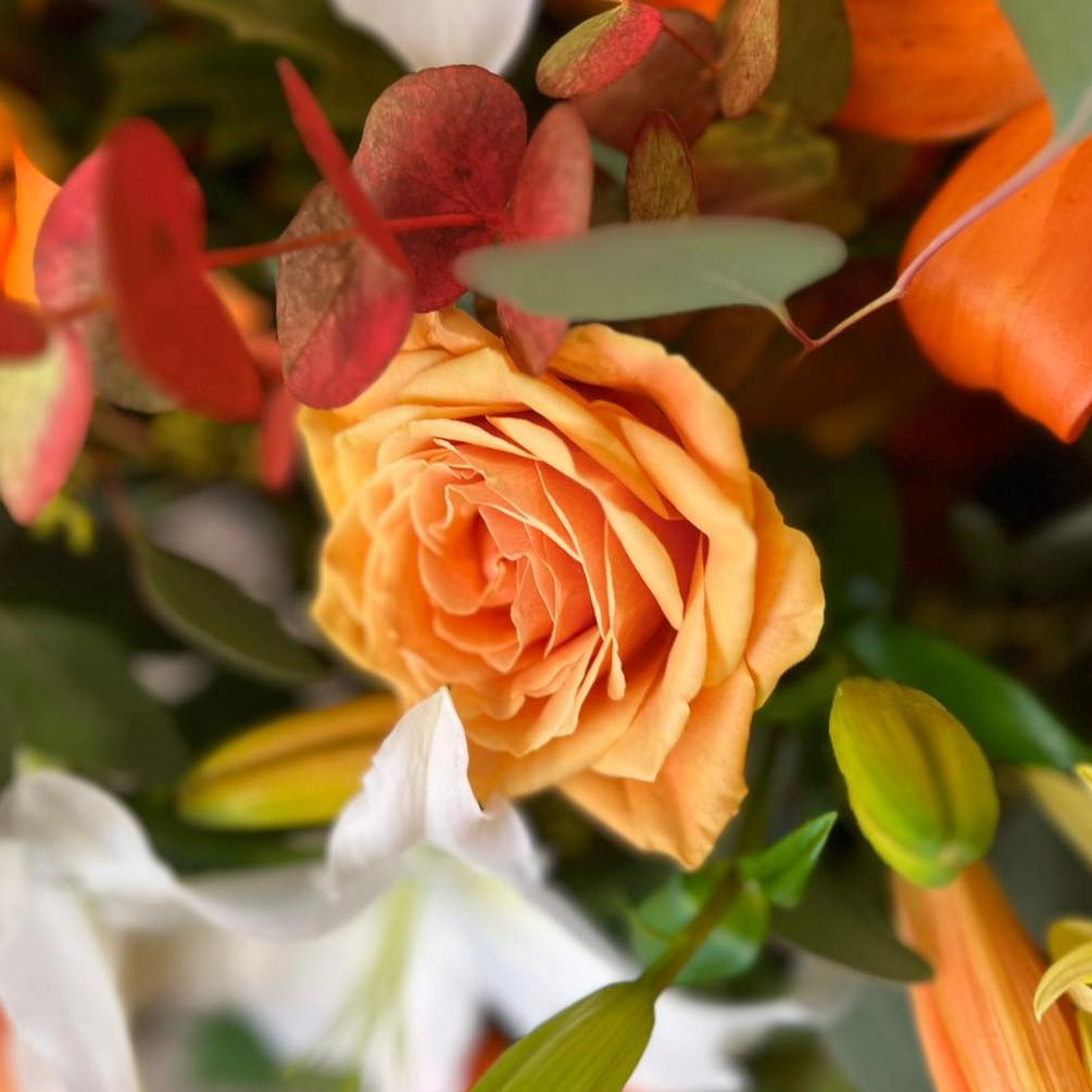 Gift bouquets from Blooming Everything Falkirk