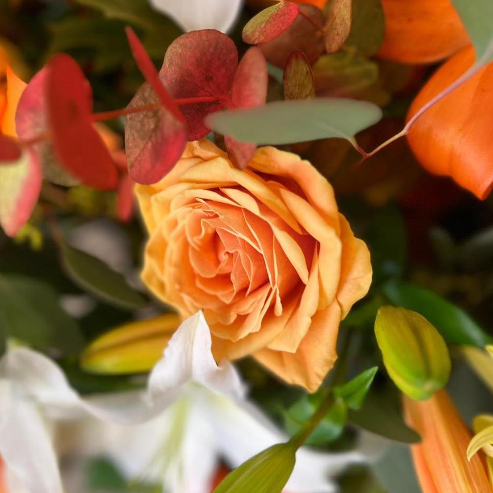 Gift bouquets from Blooming Everything Falkirk